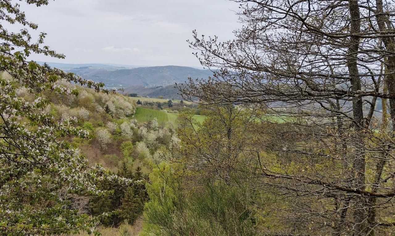 Ferienwohnungen Meindl Idar-Oberstein Exteriör bild