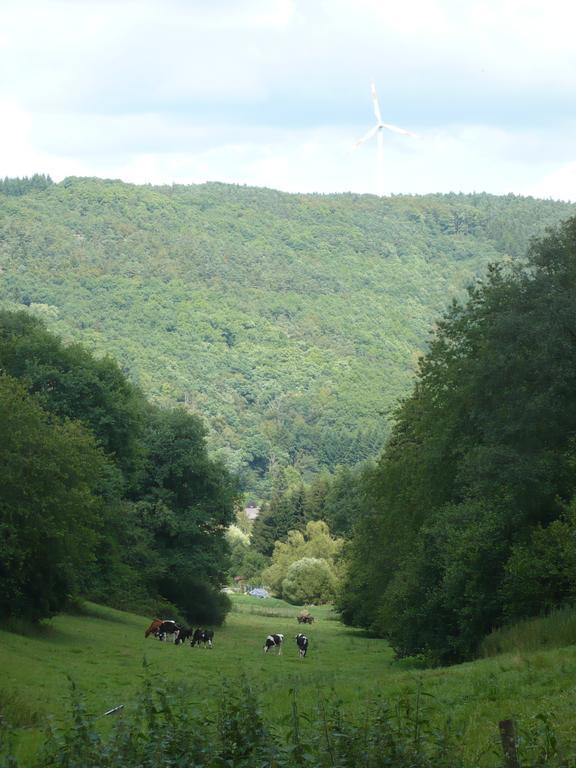 Ferienwohnungen Meindl Idar-Oberstein Rum bild