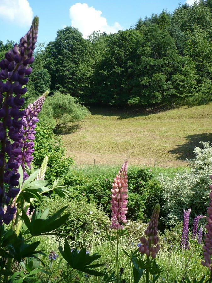 Ferienwohnungen Meindl Idar-Oberstein Exteriör bild